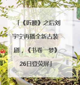 《折腰》之后刘宇宁再播全新古装剧，《书卷一梦》26日登荧屏