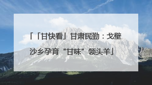 「甘快看」甘肃民勤：戈壁沙乡孕育“甘味”领头羊