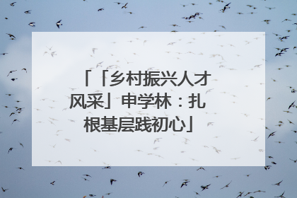 「乡村振兴人才风采」申学林：扎根基层践初心