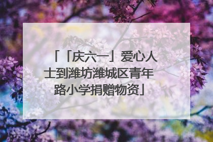 「庆六一」爱心人士到潍坊潍城区青年路小学捐赠物资