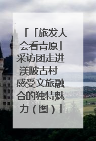 「旅发大会看青原」采访团走进渼陂古村 感受文旅融合的独特魅力（图）