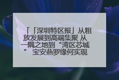 「深圳特区报」从粗放发展到高端集聚 从一隅之地到“湾区芯城” 宝安燕罗缘何实现“战略突围”