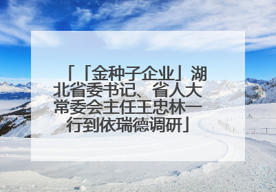 「金种子企业」湖北省委书记、省人大常委会主任王忠林一行到依瑞德调研