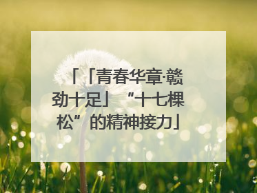 「青春华章·赣劲十足」“十七棵松”的精神接力