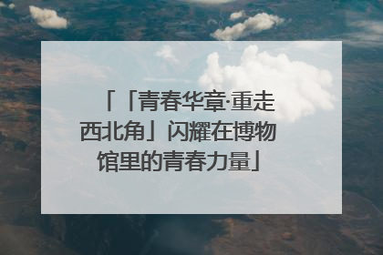 「青春华章·重走西北角」闪耀在博物馆里的青春力量
