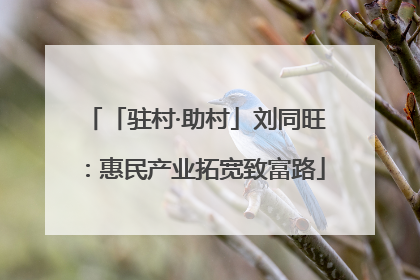 「驻村·助村」刘同旺：惠民产业拓宽致富路
