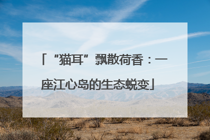 “猫耳”飘散荷香：一座江心岛的生态蜕变