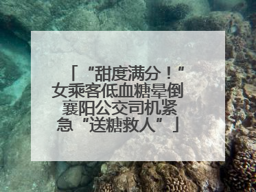 “甜度满分！”女乘客低血糖晕倒 襄阳公交司机紧急“送糖救人”