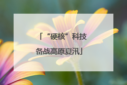 “硬核”科技备战高原夏汛