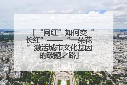 “网红”如何变“长红”——“一朵花”激活城市文化基因的破题之路