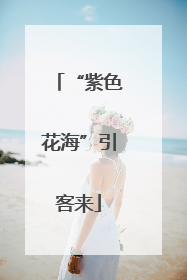“紫色花海”引客来