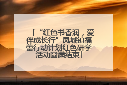 “红色书香润，爱伴成长行”凤城镇福蕾行动计划红色研学活动圆满结束