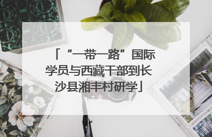 “一带一路”国际学员与西藏干部到长沙县湘丰村研学