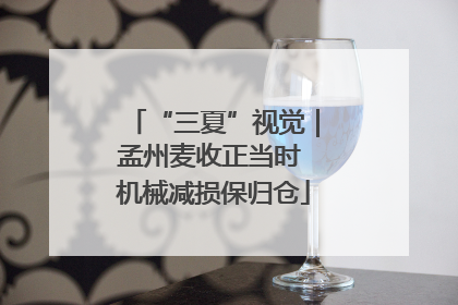 “三夏”视觉｜孟州麦收正当时 机械减损保归仓