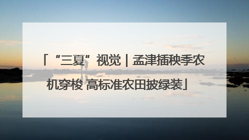 “三夏”视觉｜孟津插秧季农机穿梭 高标准农田披绿装