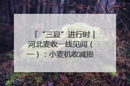 “三夏”进行时｜河北麦收一线见闻（一）：小麦机收减损“竞技” 农机高手麦田“过招”