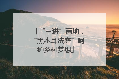 “三进”菌地，“黑木耳法庭”呵护乡村梦想