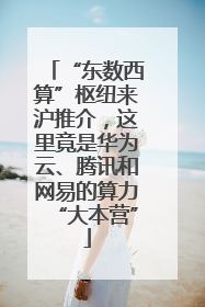 “东数西算”枢纽来沪推介，这里竟是华为云、腾讯和网易的算力“大本营”