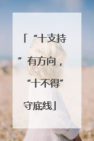 “十支持”有方向，“十不得”守底线