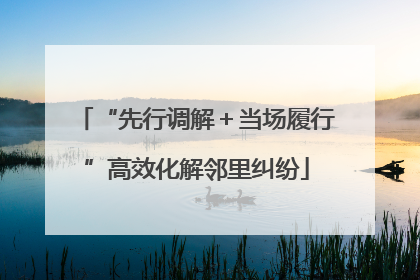 “先行调解＋当场履行”高效化解邻里纠纷