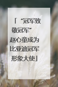 “冠军致敬冠军” 赵心童成为比亚迪冠军形象大使
