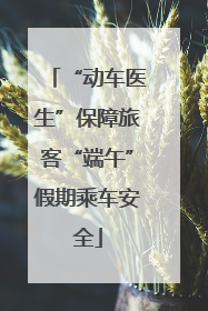 “动车医生”保障旅客“端午”假期乘车安全