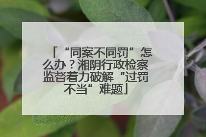 “同案不同罚”怎么办？湘阴行政检察监督着力破解“过罚不当”难题