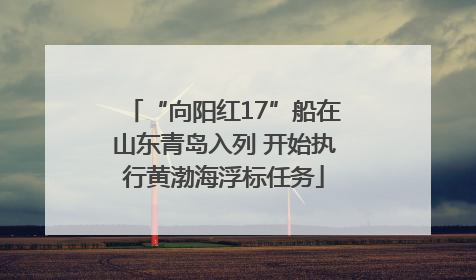 “向阳红17”船在山东青岛入列 开始执行黄渤海浮标任务