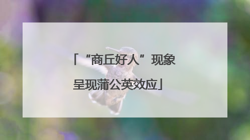 “商丘好人”现象呈现蒲公英效应