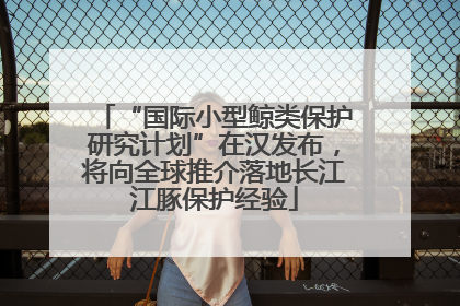 “国际小型鲸类保护研究计划”在汉发布，将向全球推介落地长江江豚保护经验