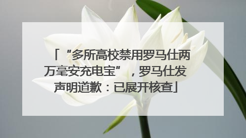 “多所高校禁用罗马仕两万毫安充电宝”，罗马仕发声明道歉：已展开核查