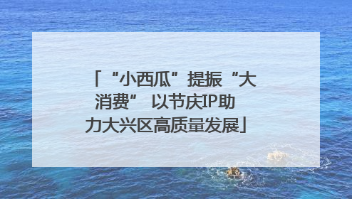 “小西瓜”提振“大消费” 以节庆IP助力大兴区高质量发展