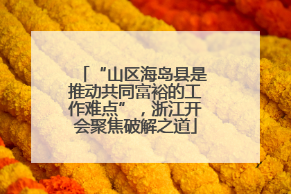“山区海岛县是推动共同富裕的工作难点”，浙江开会聚焦破解之道