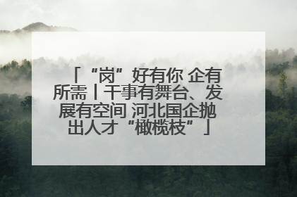 “岗”好有你 企有所需丨干事有舞台、发展有空间 河北国企抛出人才“橄榄枝”