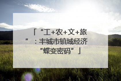 “工+农+文+旅”：丰城市镇域经济“蝶变密码”
