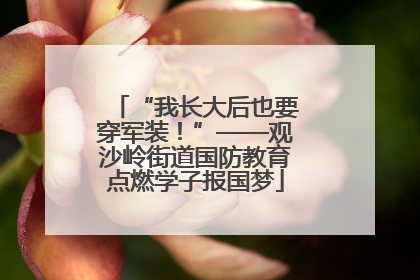 “我长大后也要穿军装！”——观沙岭街道国防教育点燃学子报国梦