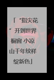 “指尖花”开到世界橱窗 小凉山千年纹样绽新色