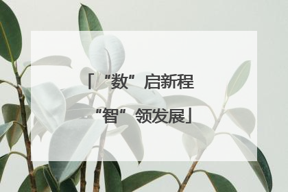“数”启新程 “智”领发展