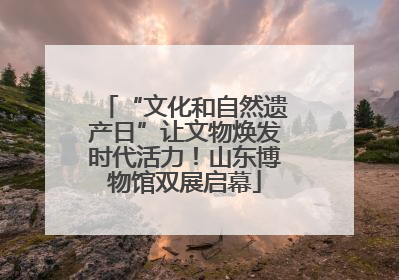 “文化和自然遗产日”让文物焕发时代活力！山东博物馆双展启幕