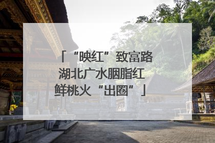 “映红”致富路 湖北广水胭脂红鲜桃火“出圈”