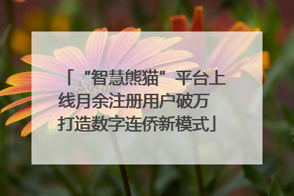 “智慧熊猫”平台上线月余注册用户破万 打造数字连侨新模式