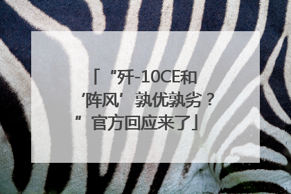 “歼-10CE和‘阵风’孰优孰劣？”官方回应来了