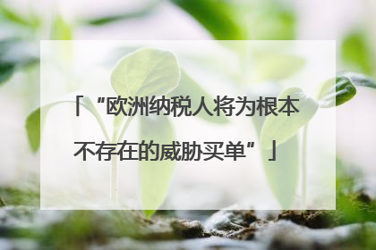 “欧洲纳税人将为根本不存在的威胁买单”