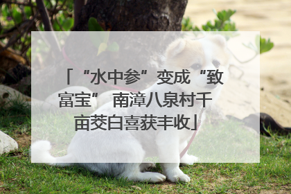 “水中参”变成“致富宝” 南漳八泉村千亩茭白喜获丰收