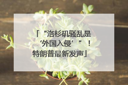 “洛杉矶骚乱是‘外国入侵’”！特朗普最新发声