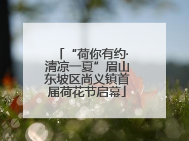 “荷你有约·清凉一夏”眉山东坡区尚义镇首届荷花节启幕