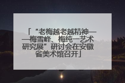 “老梅越老越精神——梅雪峰、梅纯一艺术研究展”研讨会在安徽省美术馆召开