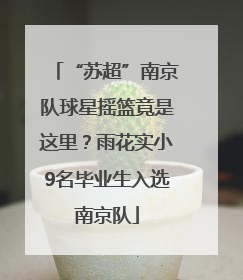 “苏超”南京队球星摇篮竟是这里？雨花实小9名毕业生入选南京队