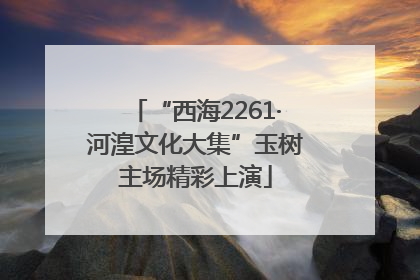 “西海2261·河湟文化大集”玉树主场精彩上演
