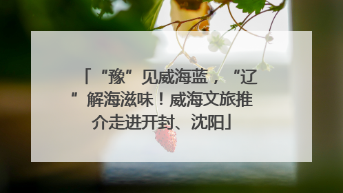 “豫”见威海蓝，“辽”解海滋味！威海文旅推介走进开封、沈阳